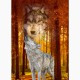  GREETING CARD Forest Wolf